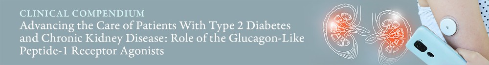 Advancing the Care of Patients With Type 2 Diabetes and Chronic Kidney Disease: Role of the Glucagon-Like Peptide-1 Receptor Agonists